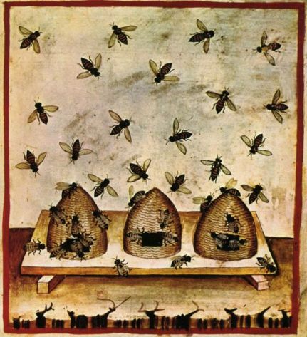 bee hives