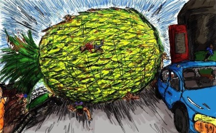 Fruits of Labor Pineapple on Street