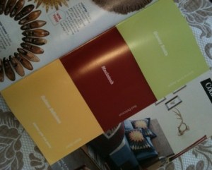 Glidden Autumn Paint Chip