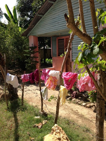 Laundry on Barbed Wire