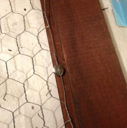 Chicken Wire with tack