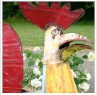 Elephants Trunk Rooster