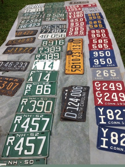Flea License Plates