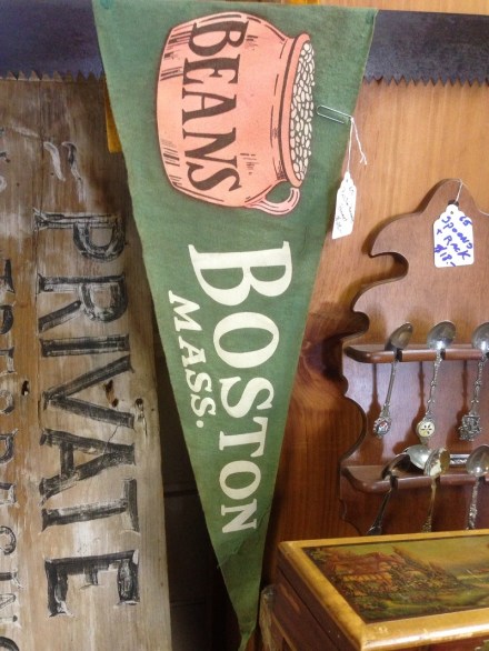 Pickers Paradise Boston Beans