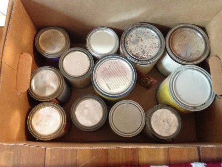 General Finishes Case of Paint