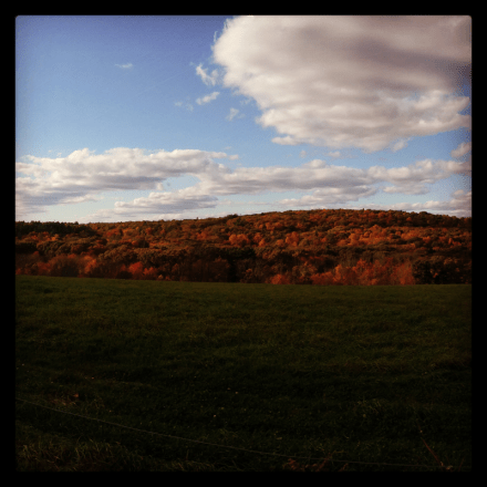 Signature Finishes Scenery