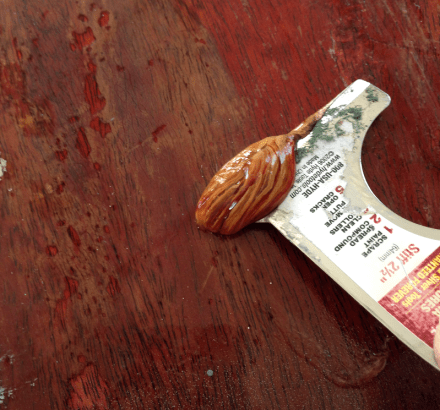 Hope Chest Stripper Scraper