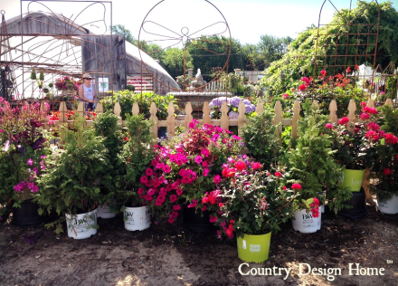 Pettengill Farm Flower Gardens