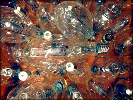 Green Goat Reclaimed Gymnasium Light Bulbs PM