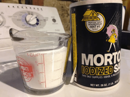 Dyed Sofa Slipcover Salt Additive