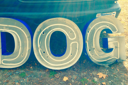 Todd Farm Neon Dog Sign