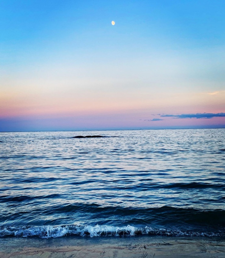 This image has an empty alt attribute; its file name is goose-rocks-beach.jpg