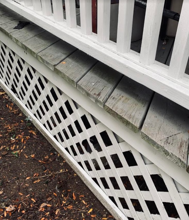 This image has an empty alt attribute; its file name is trellis.jpg